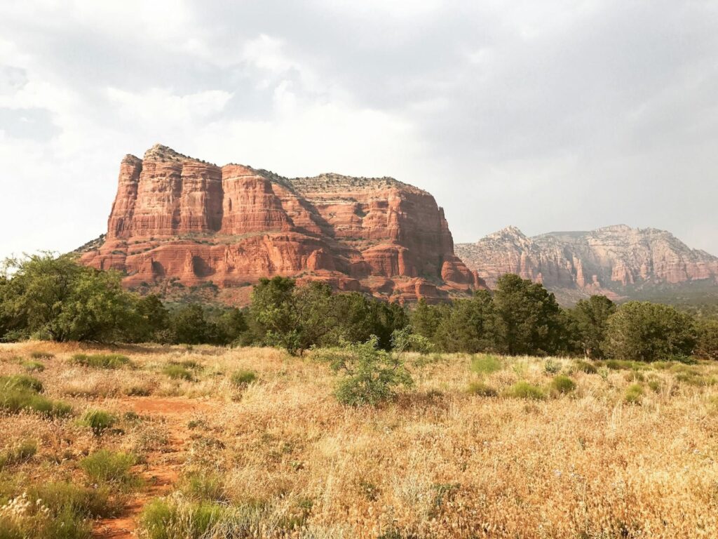 Understanding Arizona's Mental Health Landscape
