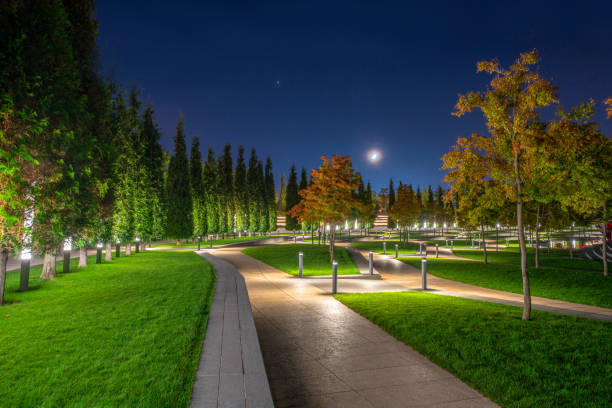 Designing with Light: How to Elevate Your Landscape After Dark Designing with Light